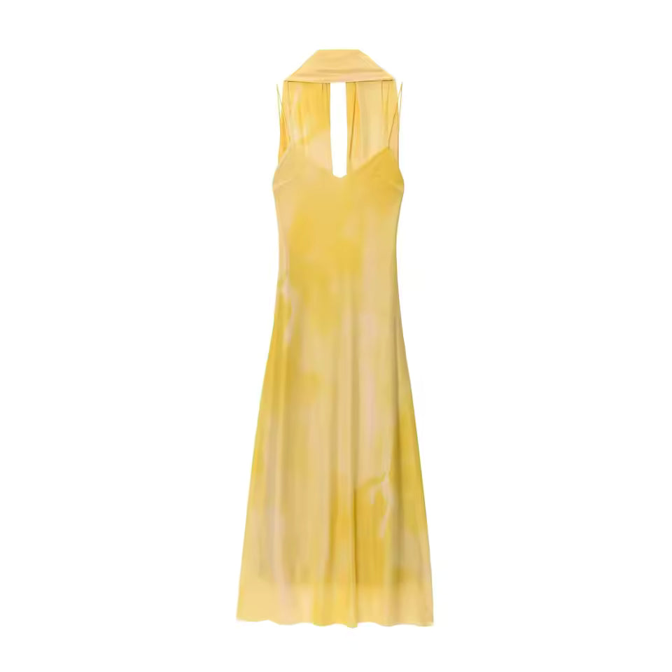 Maxi Dress | Draped V-Neck, Ombre Finish 4